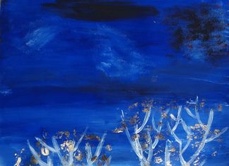 Парченца пламенност