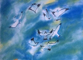 Птичи полет в моето време