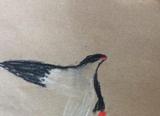 Парченца пламенност