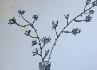 Парченца пламенност