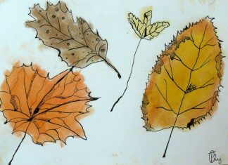 Парченца пламенност