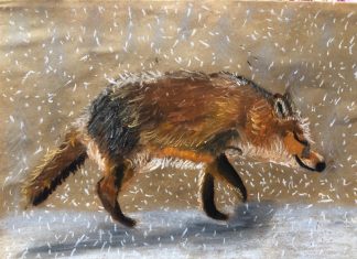 Парченца пламенност