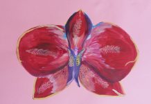 Парченца пламенност