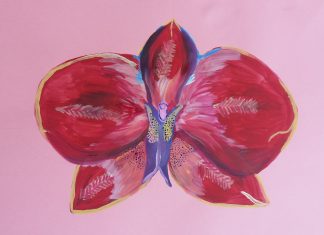 Парченца пламенност