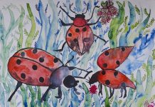 Парченца пламенност