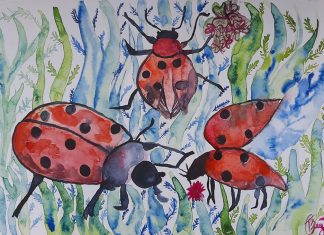 Парченца пламенност