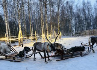 Къде е коледната магия в Лапландия